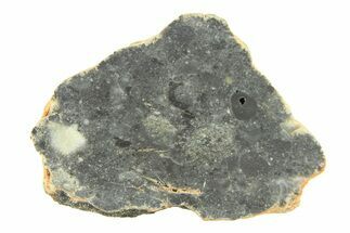 Lunar Meteorite ( g) Slice - Bechar #291700