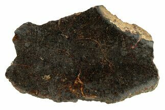 Polished Rafsa Angrite Meteorite Slice ( g) - Algeria #291757