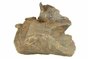 Gebel Kamil Meteorites For Sale - FossilEra.com