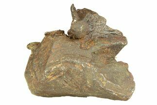 Gebel Kamil Iron Meteorite ( g) - Egypt #291807