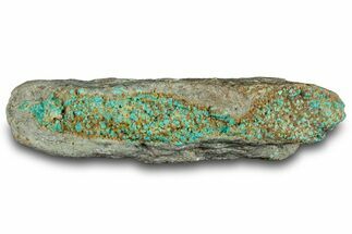 Tumbled Turquoise Section - Number Mine, Carlin, NV #292280