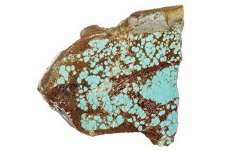 Polished Turquoise Section - Number Mine, Carlin, NV #292324