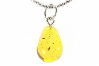 Polished Baltic Amber Pendant (Necklace) - Contains Fly! #288861