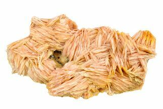Bright Orange-Pink Bladed Barite Cluster - Morocco #292920