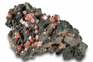 Small Red Vanadinite Crystals on Manganese Oxide - Morocco #292899