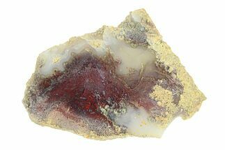 Polished Colorful Moss Agate Slab - Java, Indonesia #293367