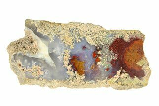 Polished Colorful Plume Agate Slab - Java, Indonesia #293370