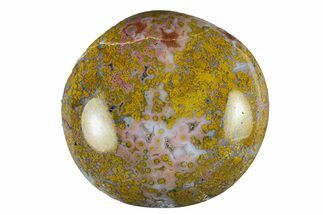 Polished Ocean Jasper Stone - New Deposit #293665