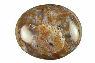 Polished Ocean Jasper Stone - New Deposit #293677