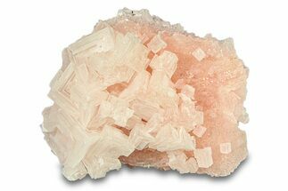 Pink Halite Crystal Cluster - Trona, California #293238