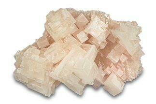 Pink Halite Crystal Cluster - Trona, California #293239