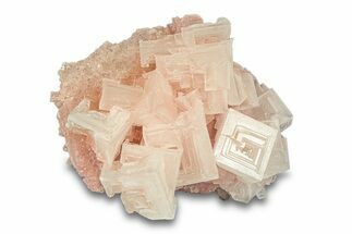Pink Halite Crystal Cluster - Trona, California #293245