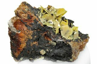 Bright Yellow Wulfenite on Dolomite - Morocco #293870