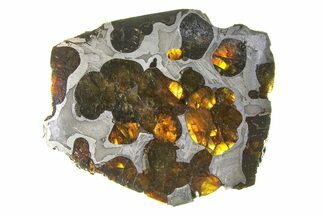 Brenham Pallasite Meteorite ( g) Slice - Kansas #294791