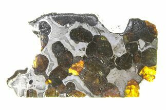 Brenham Pallasite Meteorite ( g) Slice - Kansas #294792