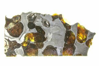 Brenham Pallasite Meteorite ( g) Slice - Kansas #294795
