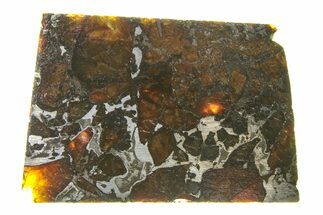 Brahin Pallasite Meteorite ( g) Slice - Belarus #294824