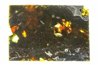 Admire Pallasites For Sale