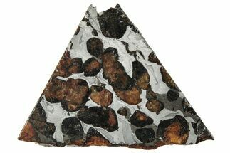 Polished Sericho Pallasite Meteorite ( g) Slice - Kenya #294853