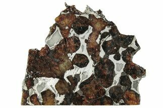 Polished Sericho Pallasite Meteorite ( g) Slice - Kenya #294854