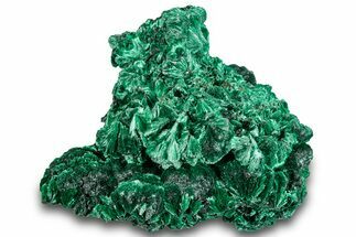 Silky Fibrous Malachite Cluster - DR Congo #294683