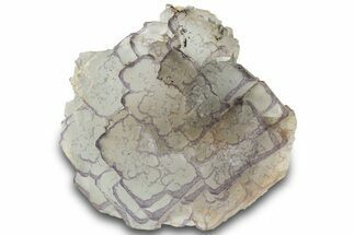 Purple Edge Fluorite - Qinglong Mine, China #295068