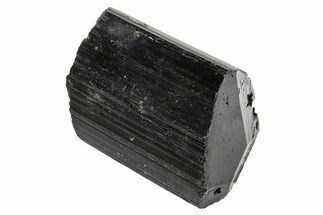 Terminated Black Tourmaline (Schorl) Crystal - Madagascar #295025