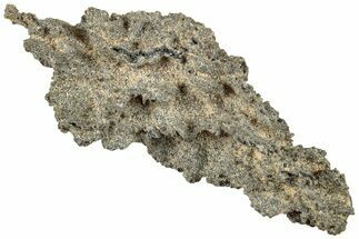 Fulgurite - Petrified Lightning #295485