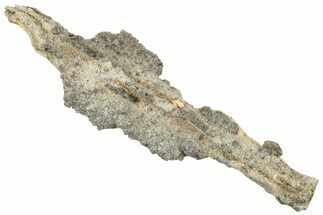 Fulgurite - Petrified Lightning #295488