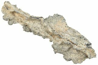 Fulgurite - Petrified Lightning #295495