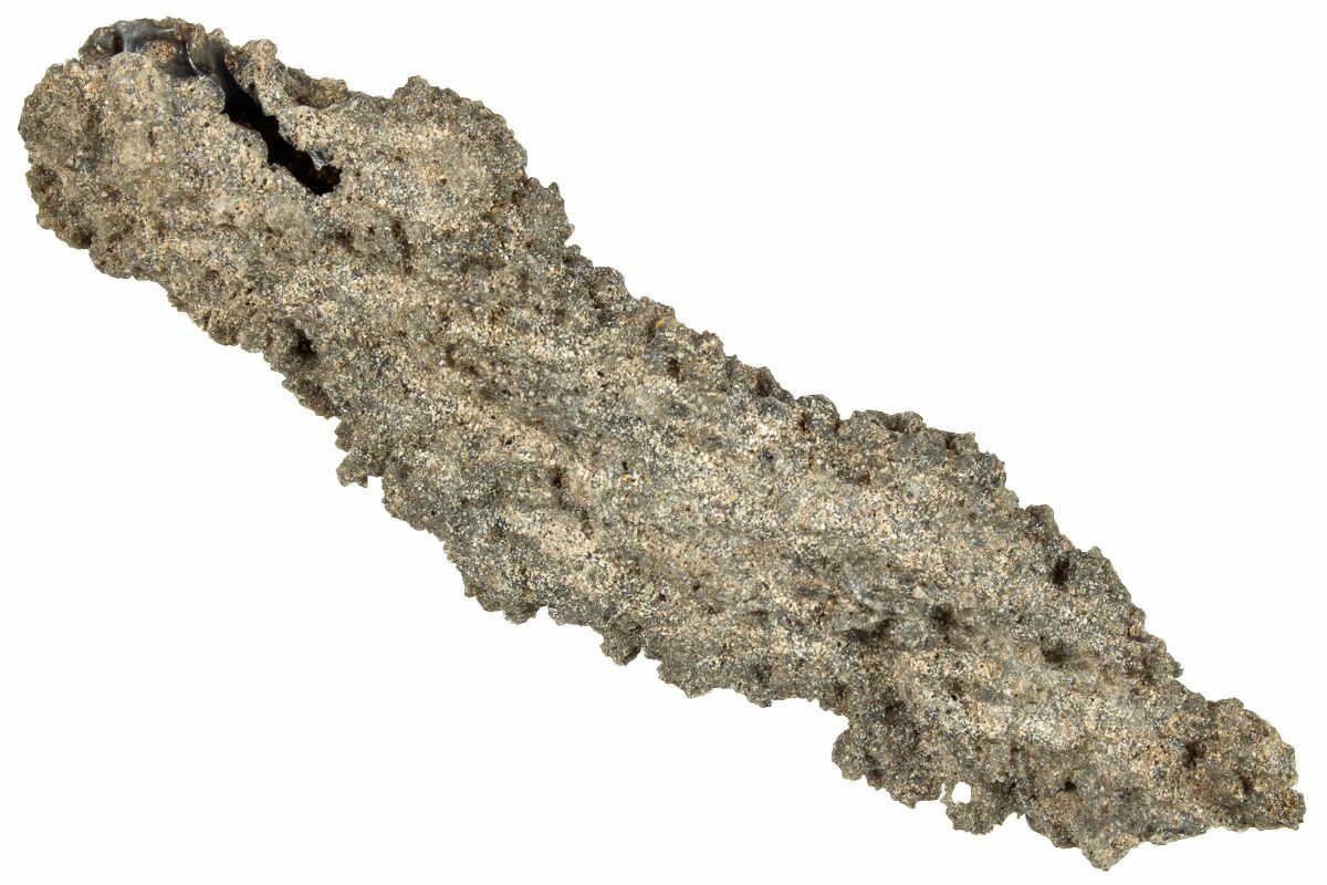 3-15-fulgurite-petrified-lightning-295505-for-sale-fossilera