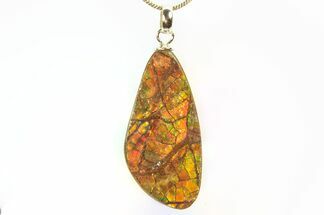 Brilliant Ammolite Pendant (Necklace) - Alberta, Canada #296051