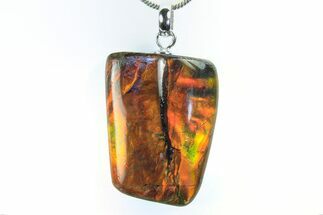 Brilliant Ammolite Pendant (Necklace) - Alberta, Canada #296065