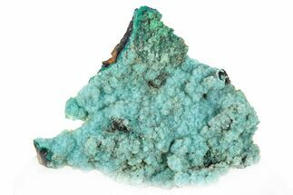 Bright Blue Chrysocolla on Limonite - Namibia #295902