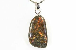 Ammolite Pendant (Necklace) - Alberta, Canada #296097