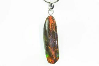 Brilliant Ammolite Pendant (Necklace) - Alberta, Canada #296107