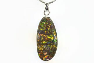 Brilliant Ammolite Pendant (Necklace) - Alberta, Canada #296109