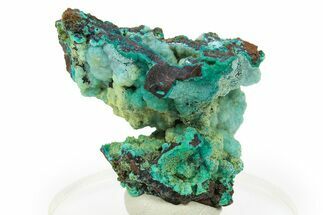 Bright Blue Chrysocolla on Limonite - Namibia #295909