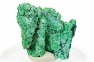 Vibrant Green Conichalcite with Chrysocolla - Namibia #295912