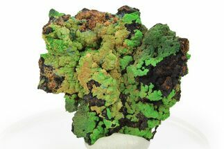 Bright Green Conichalcite on Limonite - Namibia #295916
