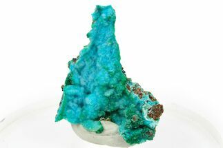 Bright Blue Chrysocolla on Limonite - Namibia #295925