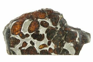 Polished Sericho Pallasite Meteorite ( g) Slice - Kenya #291276