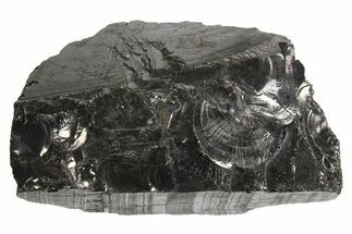 Lustrous, High Grade Shungite - Colombia #297136