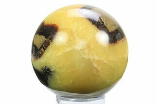 Polished Septarian Sphere - Madagascar #289953