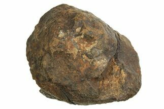 Chondrite Meteorite ( g) - Western Sahara Desert #296240