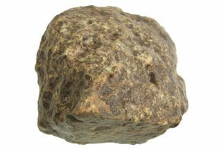Chondrite Meteorite ( g) - Western Sahara Desert #296244