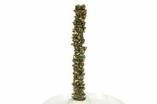 Iridescent Marcasite Crystal Stalactite - Linwood Mine, Iowa #298815
