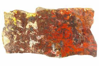 Polished Stromatolite (Collenia) Slab - Minnesota #299835