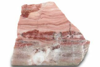 Polished Kona Dolomite (Stromatolite) Section - Michigan #299996