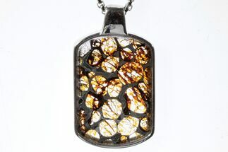 Sericho Pallasite Dog Tag Meteorite Pendant - Kenya #300754